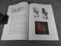 フルブック遺跡出土壁画断片の保存修復