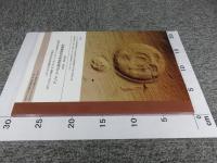 アジナ・テパ仏教寺院考古学調査報告（2006年～2008年）