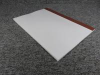 アジナ・テパ仏教寺院考古学調査報告（2006年～2008年）