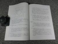 アジナ・テパ仏教寺院考古学調査報告（2006年～2008年）