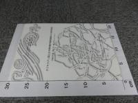 タジキスタン国立古代博物館所蔵壁画断片の保存修復　2008年度（第1次～第4次ミッション）
