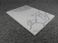 タジキスタン国立古代博物館所蔵壁画断片の保存修復　2008年度（第1次～第4次ミッション）