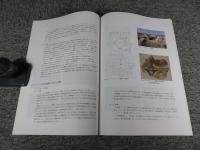 タジキスタン国立古代博物館所蔵壁画断片の保存修復　2008年度（第1次～第4次ミッション）