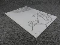 タジキスタン国立古代博物館所蔵壁画断片の保存修復　2009年度（第5次～第7次ミッション）