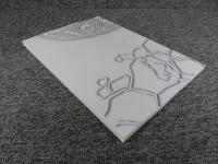 タジキスタン国立古代博物館所蔵壁画断片の保存修復　2010年度（第8次～第10次ミッション）