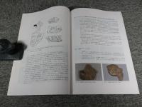 タジキスタン国立古代博物館所蔵壁画断片の保存修復　2010年度（第8次～第10次ミッション）