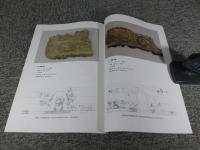 タジキスタン国立古代博物館所蔵壁画断片の保存修復　2010年度（第8次～第10次ミッション）