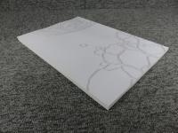 古代ペンジケントの壁画と彫塑 ＜中央アジア文化遺産保護報告集 第2巻＞