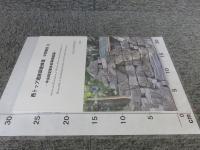 西トップ遺跡調査修復 : 中間報告11　―中央祠堂躯体部再構築編―