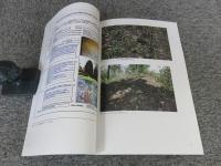 西トップ遺跡調査修復 : 中間報告11　―中央祠堂躯体部再構築編―