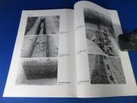 中の池遺跡　第12次調査　総合運動公園整備事業に伴う埋蔵文化財発掘調査報告書