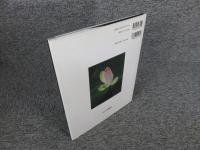 蓮 : ハスをたのしむ