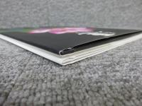 蓮 : ハスをたのしむ