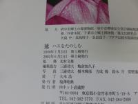 蓮 : ハスをたのしむ