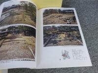 名勝旧大乗院庭園発掘調査報告　「本文編 図版・資料編　2冊」　奈良文化財研究所学報第97冊