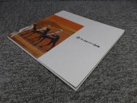 開館10周年記念特別展　平山郁夫シルクロード紀行　ガンダーラ、アフガニスタン、そして文化財保護活動