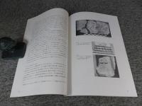 南アジア仏教遺跡保存整備に関する基礎的調査研究　ミャンマー関係 1　平成6年度～平成10年度