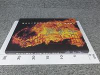 南無観　今駒清則 写真集 東大寺 お水取りの光陰　