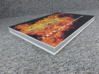 南無観　今駒清則 写真集 東大寺 お水取りの光陰　