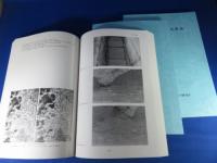 奈良県遺跡調査概報　(第一分冊)(第二分冊)(第三分冊)　2008年