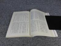 市政崩壊 : めざめたベッドタウン川西事件リポート