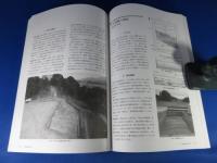 奈良文化財研究所紀要　2010