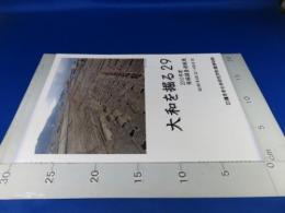 大和を掘る29　2010年度　発掘調査速報展