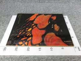 図録 美の追求 ルイス・C.ティファニー展