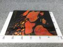 図録 美の追求 ルイス・C.ティファニー展
