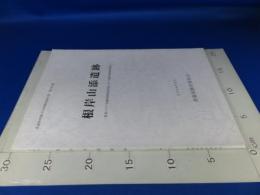 根岸山添遺跡　-県道八戸三沢線道路建設事業に伴う遺跡発掘調査報告-