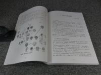 古代瓦研究会シンポジウム記録　古代瓦研究2　山田寺式軒瓦の成立と展開