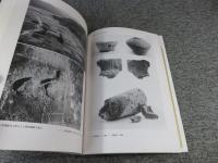 郡衙周辺寺院の研究　因幡国気多郡衙と周辺寺院の分析を中心に