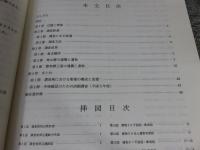 新堂廃寺発掘調査概要