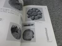 新堂廃寺発掘調査概要