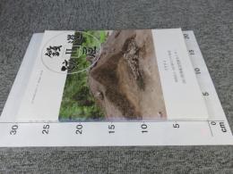 銭屋遺跡 2 ＜山口県埋蔵文化財センター調査報告 第49集＞