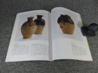 鞏義白河窯の考古新発見　奈良国立文化財研究所研究報告第８冊
