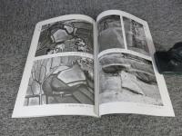 山辺郡都祁村　小山戸城跡　奈良県文化財調査報告書　第77集