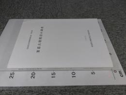 箸墓古墳周辺の調査　奈良県文化財調査報告書 第89集