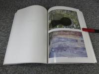 箸墓古墳周辺の調査　奈良県文化財調査報告書 第89集