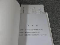 箸墓古墳周辺の調査　奈良県文化財調査報告書 第89集