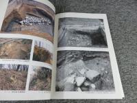 桜井茶臼山古墳　範囲確認調査報告 ＜奈良県文化財調査報告書 第110集＞