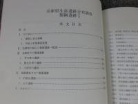 製銅遺跡 1　＜兵庫県生産遺跡調査報告　第4冊＞