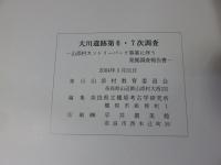 奈良県山辺郡山添村　大川遺跡　第6・7次調査　山添村カントリーパーク事業に伴う発掘調査報告書