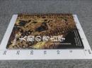 大和の考古学　常設展示図録　＜令和5年（2023）＞