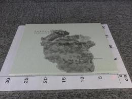 平城京漆紙文書 1　＜奈良文化財研究所史料 第69冊＞