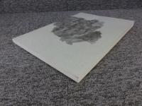 平城京漆紙文書 1　＜奈良文化財研究所史料 第69冊＞