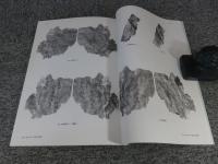 平城京漆紙文書 1　＜奈良文化財研究所史料 第69冊＞