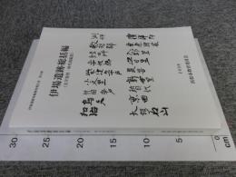 伊場遺跡総括編（文字資料・時代別総括）　＜伊場遺跡発掘調査報告書 第12冊＞