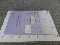 平安時代庭園に関する研究1　＜平成18年度 古代庭園研究会報告書＞