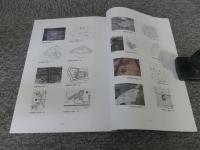 平安時代庭園に関する研究1　＜平成18年度 古代庭園研究会報告書＞